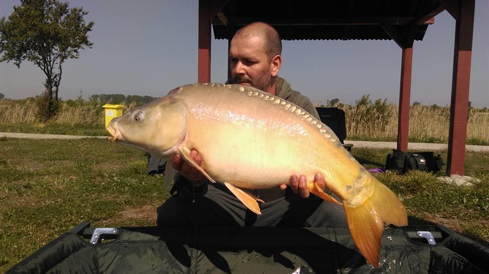 capturi 2016 - 1309439611561045610890284317326551565939984n.jpg